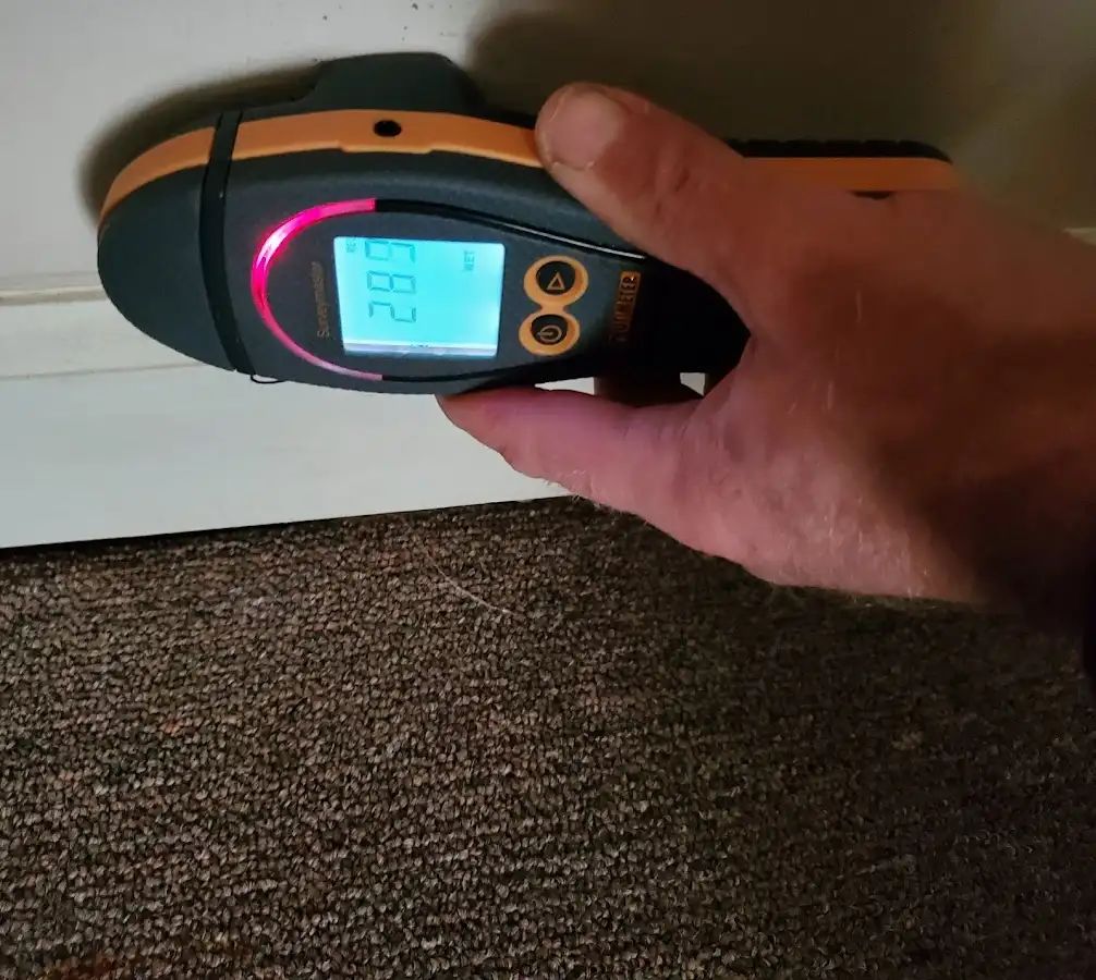 Moisture detection at baseboard during Sewage Cleanup & Sanitation in Wadsworth